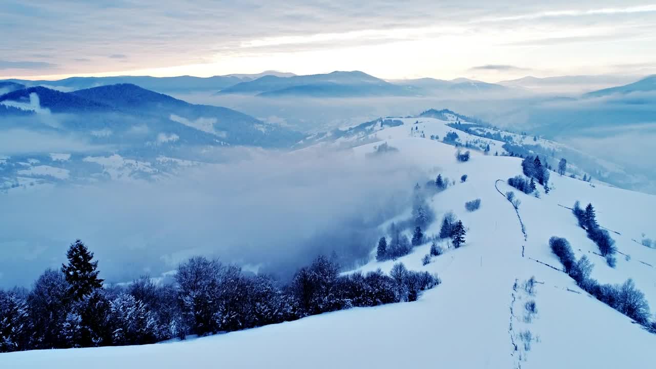 Stock Video Flying Over A Foggy Forest At A Cold Cloudy Day Live Wallpaper For PC