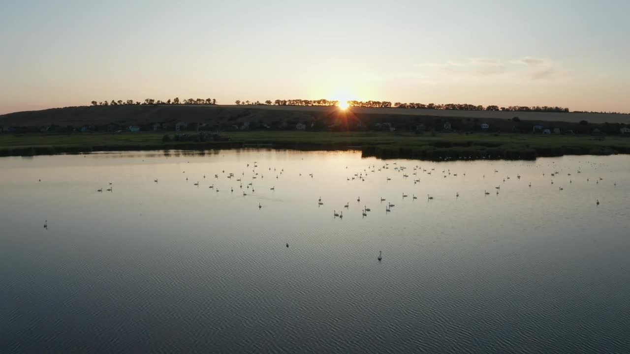 Stock Video Flying Over A Floodplain Live Wallpaper For PC