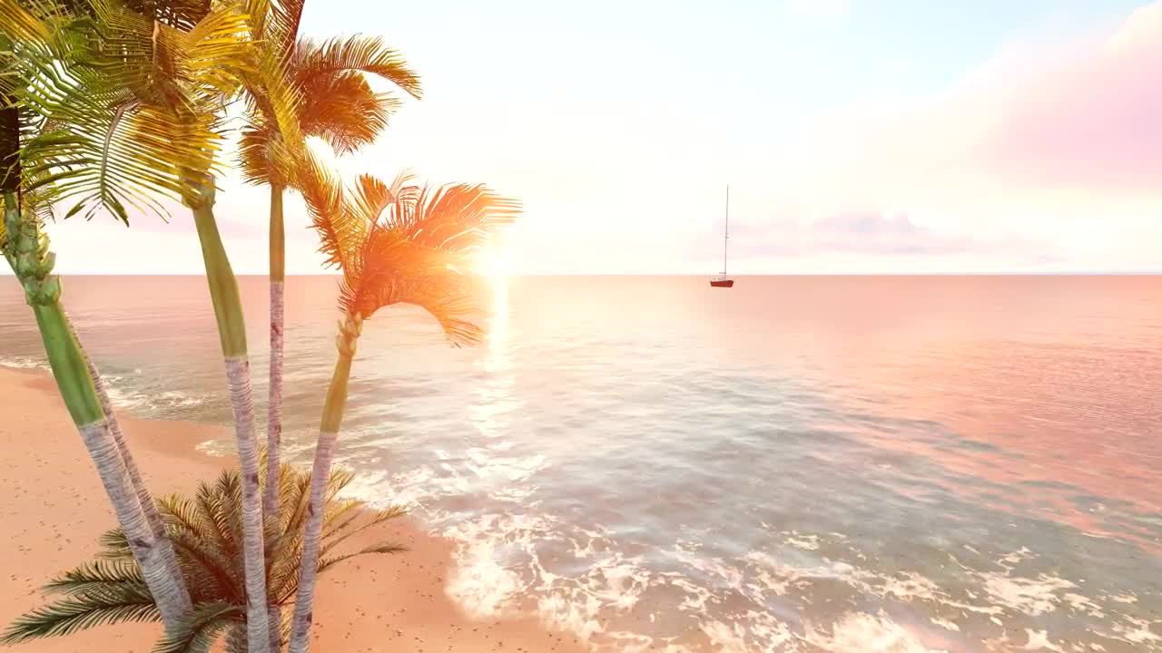 Stock Video Flying Over A Beach With A Palm Tree And A Live Wallpaper For PC