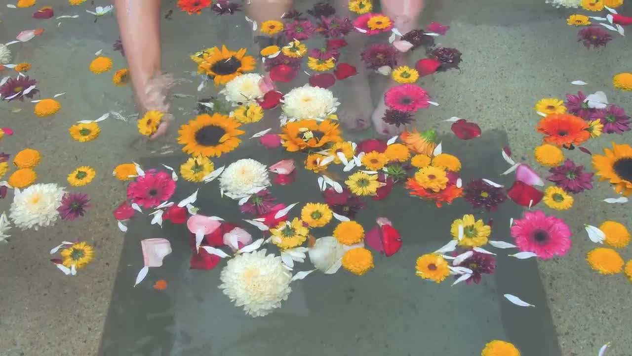 Stock Video Flowers In A Tub Live Wallpaper For PC