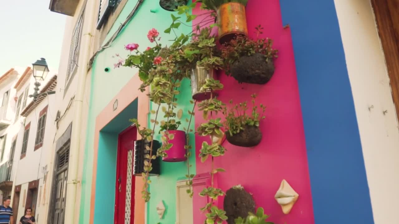 Stock Video Flowerpots Hanging On Colorful Walls Live Wallpaper For PC