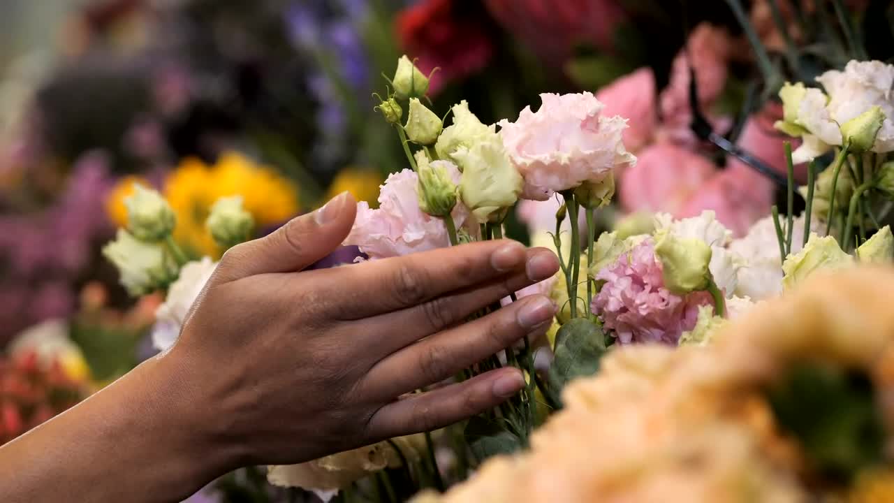 Stock Video Florist Checking Flowers In Her Store Live Wallpaper For PC