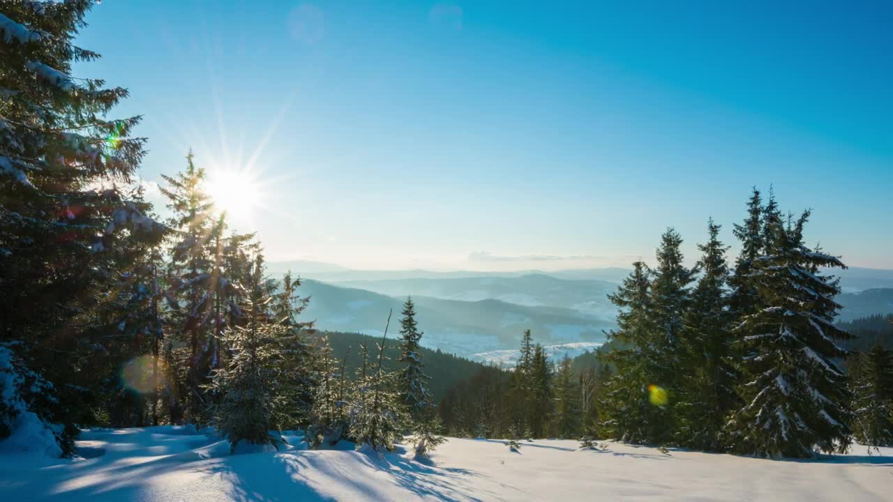 Stock Video Flora On A Snowy Mountain At Sunset Live Wallpaper For PC