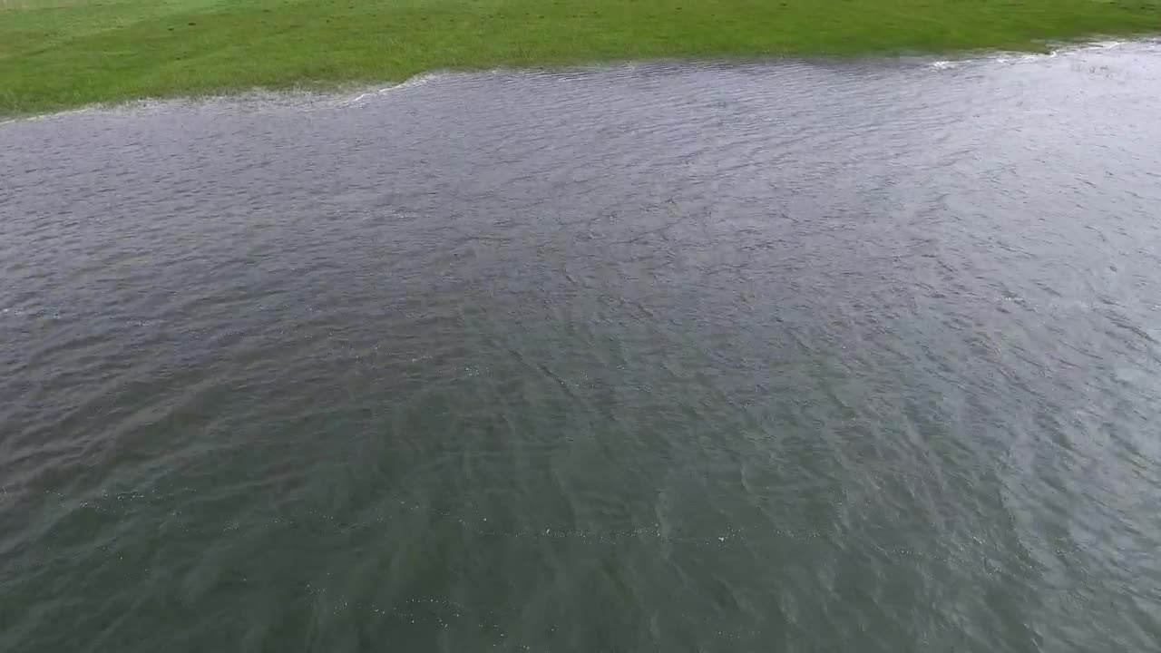 Stock Video Flood In The Agricultural Field Live Wallpaper For PC