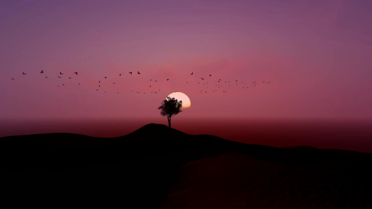 Stock Video Flock Flying Around A Tree During Sunset Live Wallpaper For PC