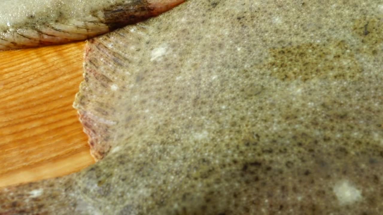 Stock Video Flatfishes On A Cook Board Live Wallpaper For PC
