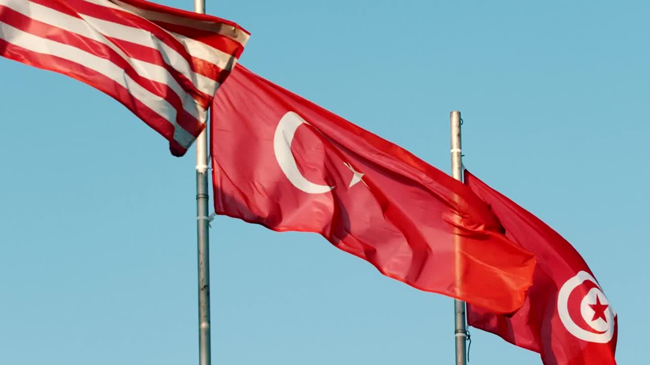 Stock Video Flags From Different Countries Waving With The Wind Live Wallpaper For PC