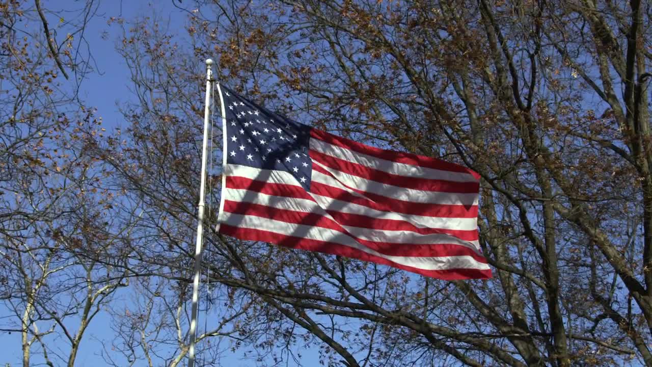 Stock Video Flag Between Trees Live Wallpaper For PC