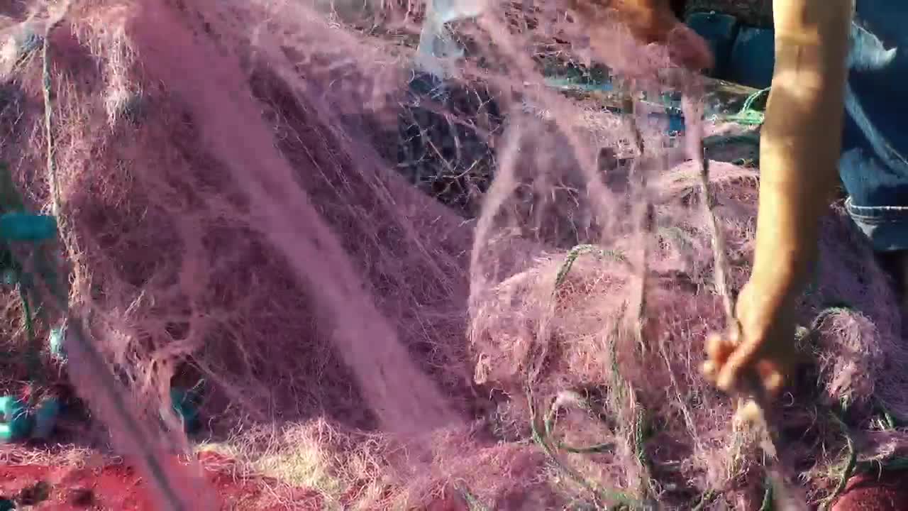 Stock Video Fishing Workers Pull Out The Fishing Net Live Wallpaper For PC