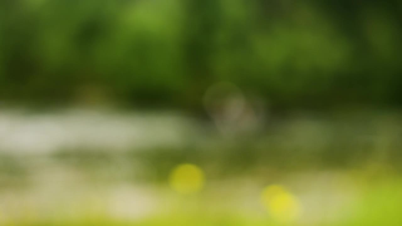 Stock Video Fishing Together Live Wallpaper For PC