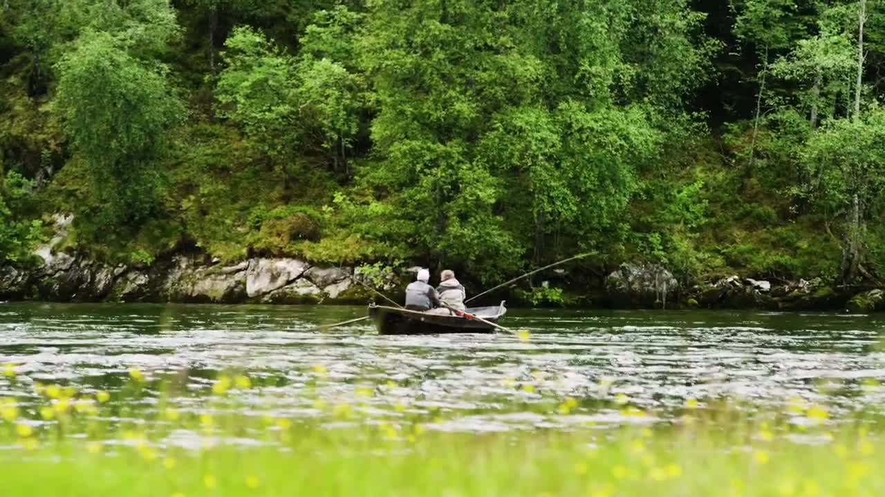 Stock Video Fishing After The Rain Live Wallpaper For PC