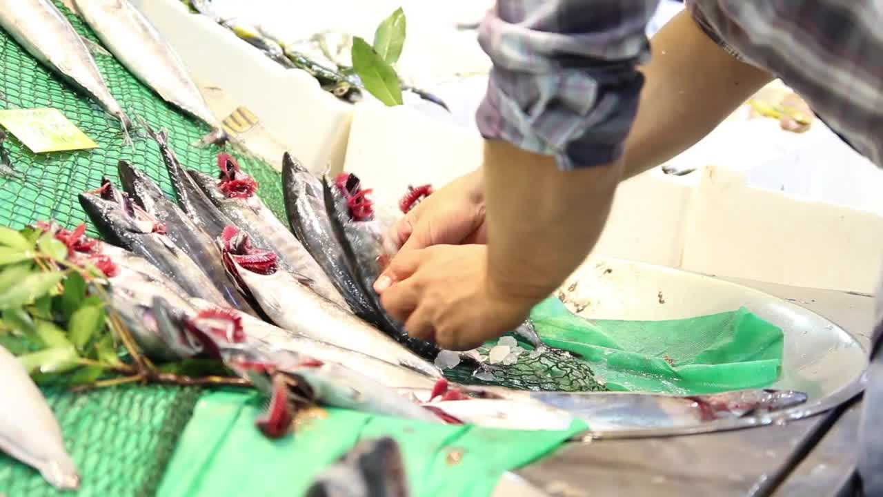 Stock Video Fish Worker Putting On A Display Live Wallpaper For PC