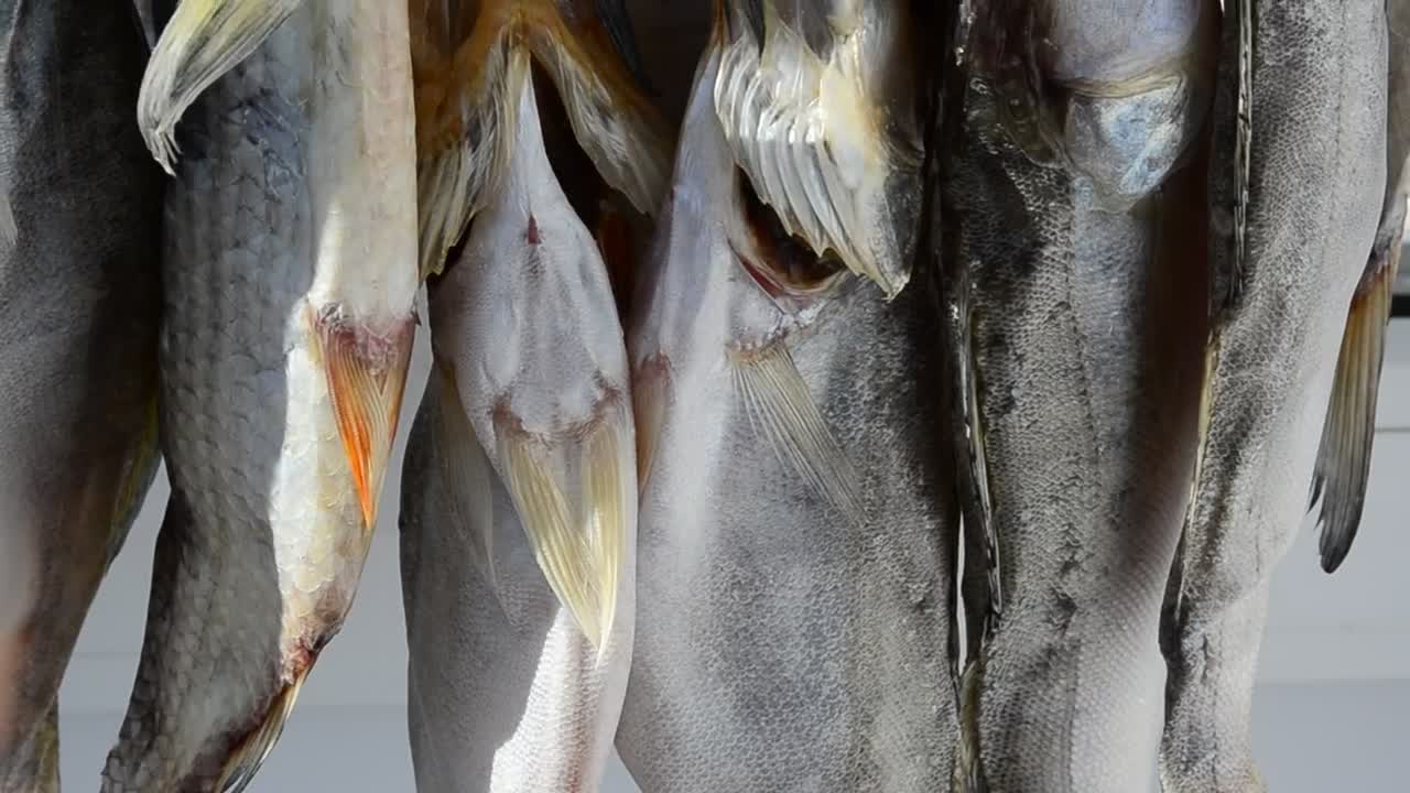 Stock Video Fish Hanging In A Market Live Wallpaper For PC