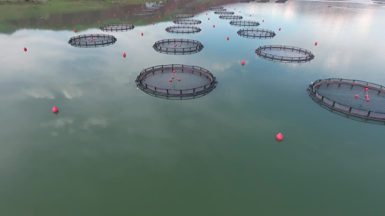 Stock Video Fish Farm In The Lake Live Wallpaper For PC