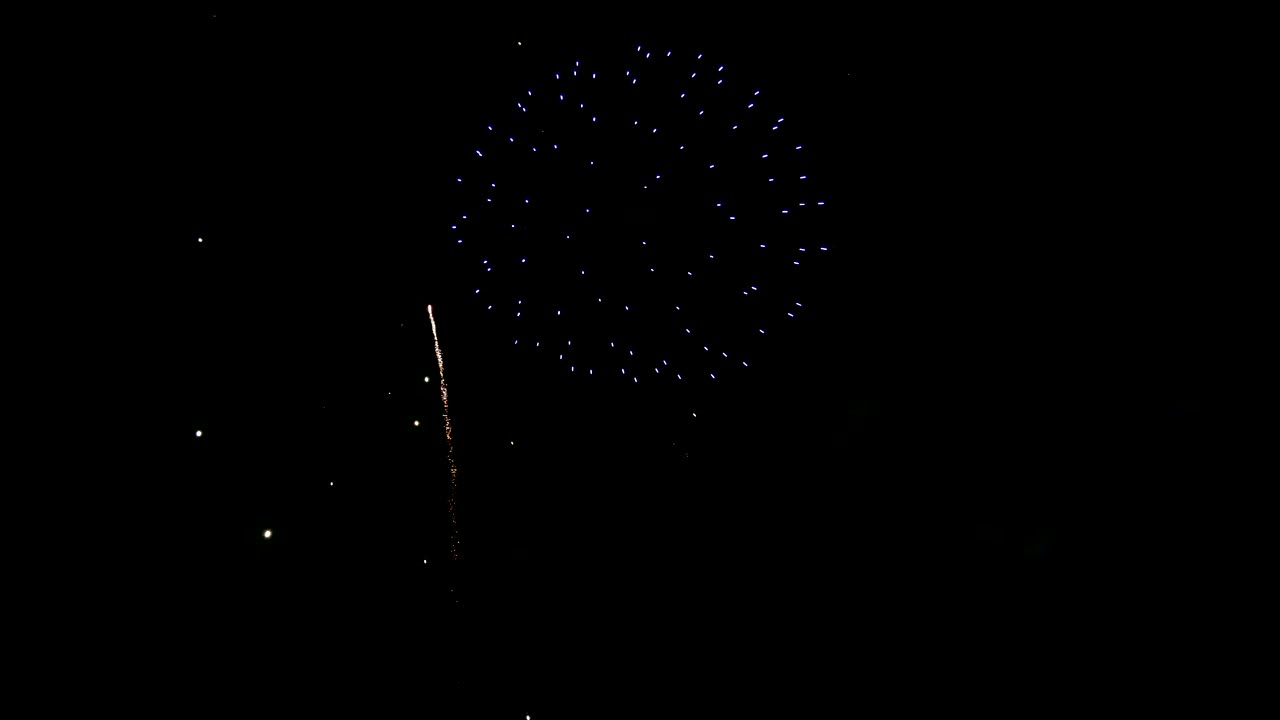 Stock Video Fireworks In The Night Sky Live Wallpaper For PC