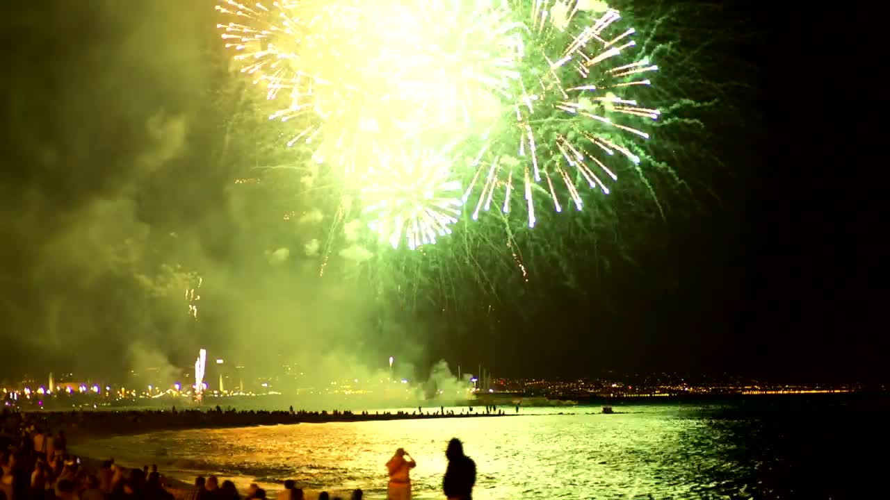 Stock Video Fireworks Illuminating The Beach Sky Live Wallpaper For PC