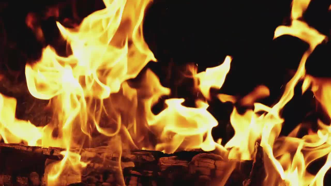 Stock Video Firewood Burning On Black Background Live Wallpaper For PC