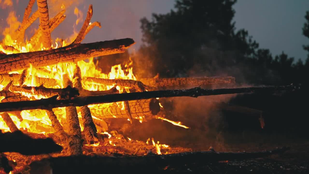 Stock Video Firewood Burning In A Forest Close Up Live Wallpaper For PC
