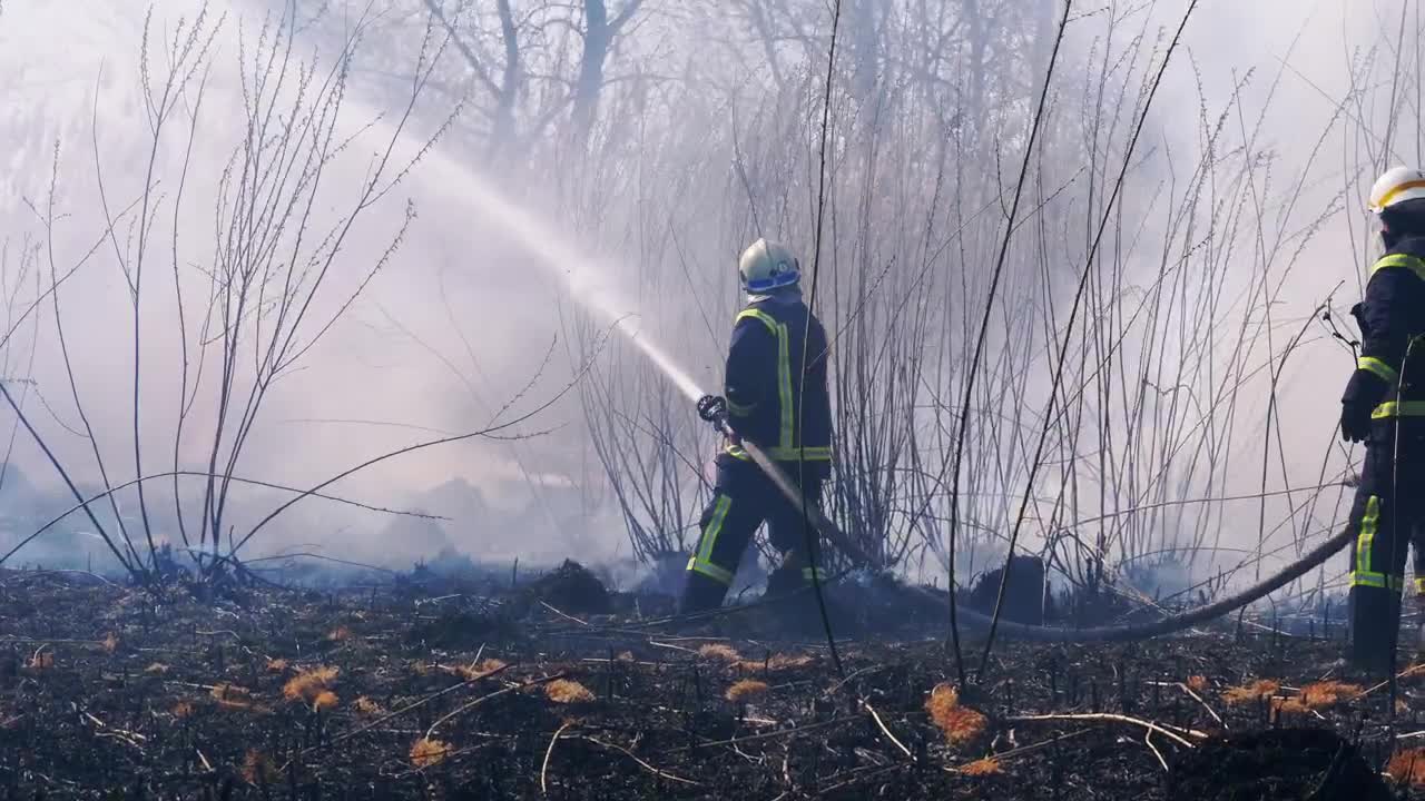 Stock Video Firefighters Throwing Water In The Woods Live Wallpaper For PC