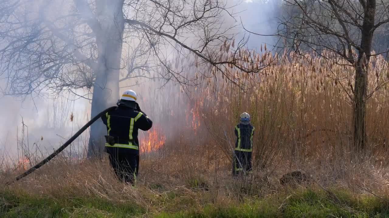 Stock Video Firefighters And Hoes Extinguishing The Fire Live Wallpaper For PC