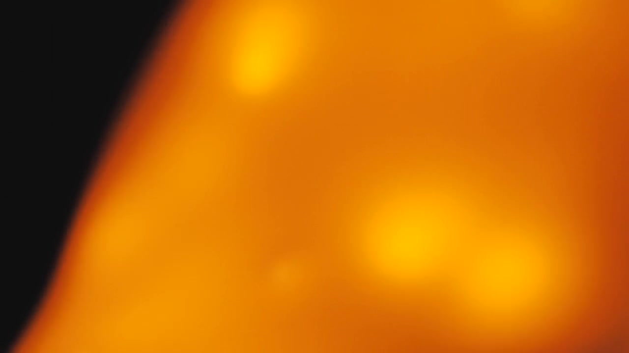 Stock Video Fire Waving On A Dark Background Live Wallpaper For PC