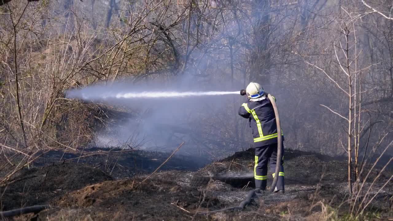Stock Video Fire Fighter With Water Hose Live Wallpaper For PC