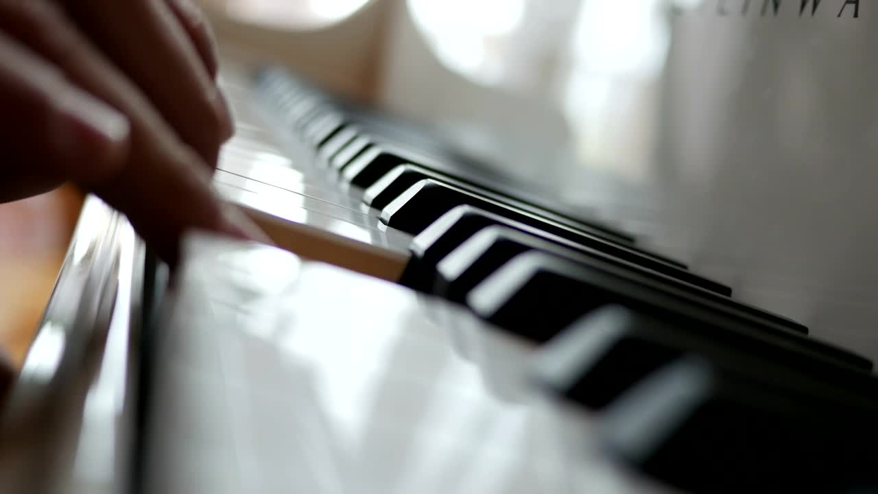 Stock Video Fingers Playing The Piano Live Wallpaper For PC