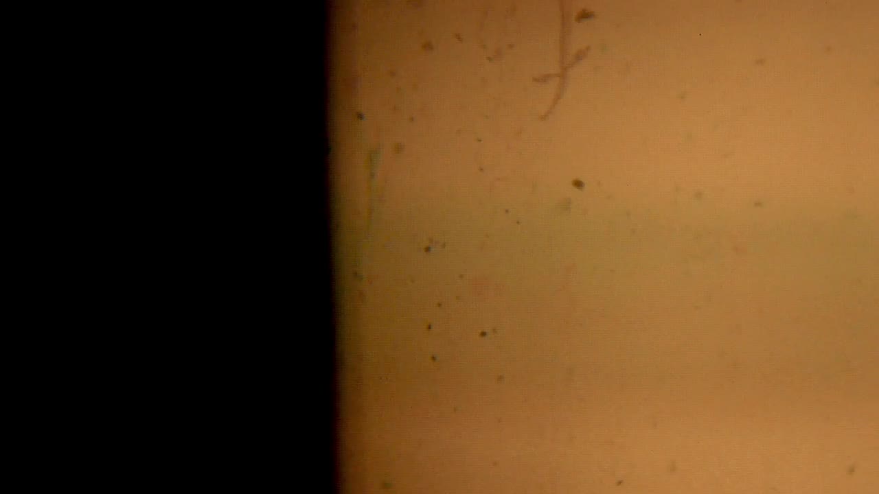 Stock Video Film Grain Close Up Live Wallpaper For PC