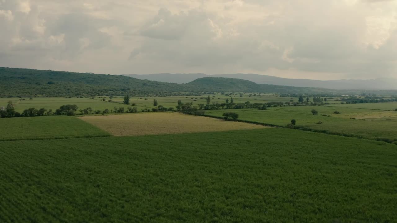 Stock Video Fields On A Cloudy Day Live Wallpaper For PC