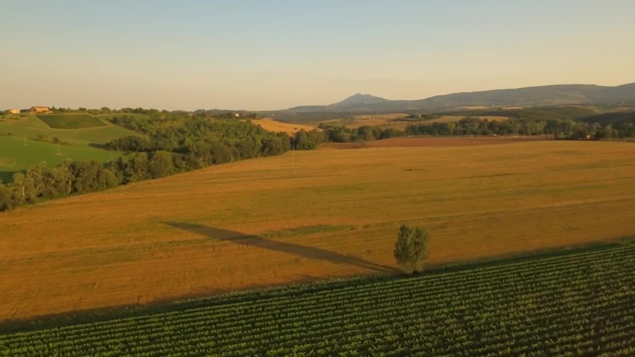 Stock Video Fields Of Crops At Sunset Live Wallpaper For PC