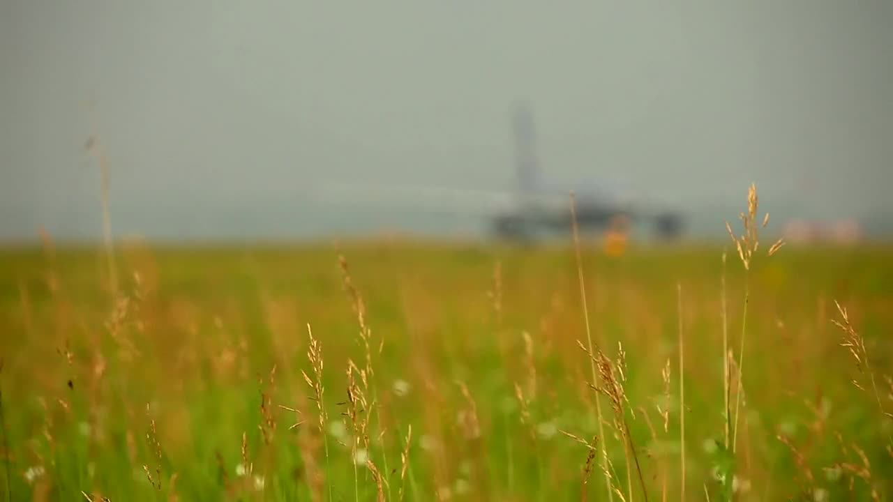 Stock Video Field And Airplane In The Background Live Wallpaper For PC