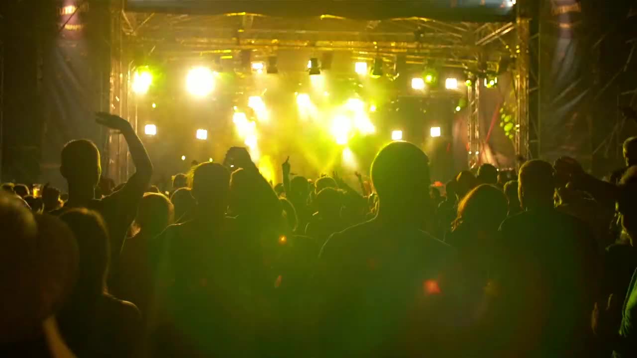 Stock Video Festival Crowd At Night Live Wallpaper For PC
