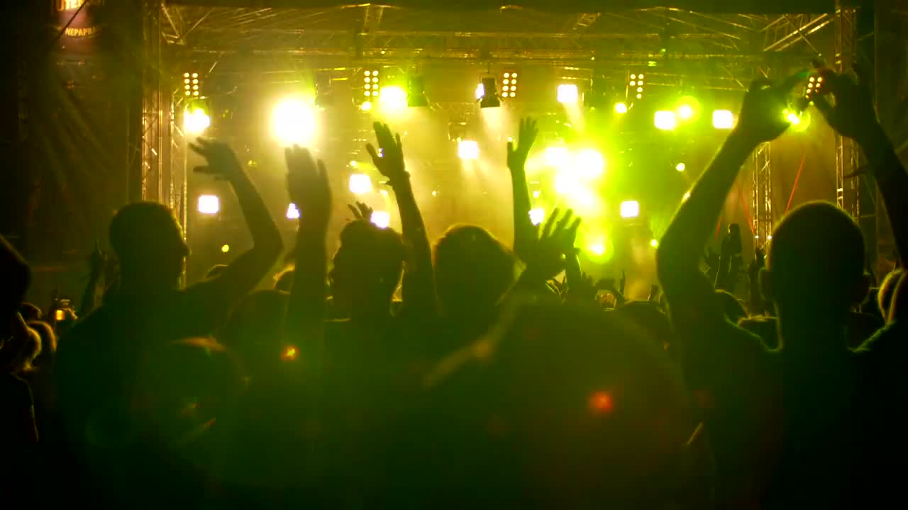Stock Video Festival Crowd Jumping And Dancing At Night Live Wallpaper For PC