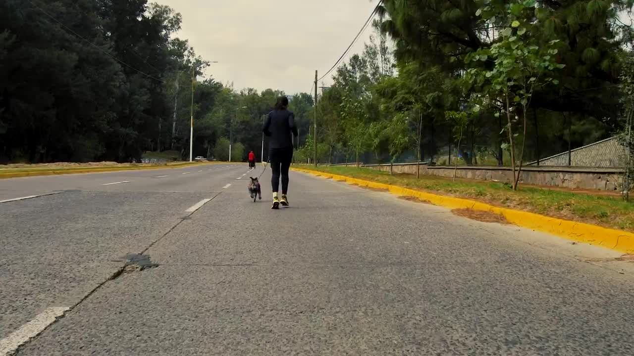 Stock Video Female Runner Walks Her Dog Live Wallpaper For PC
