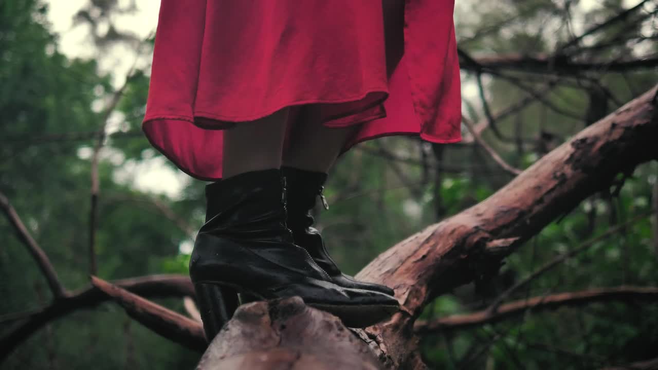 Stock Video Feet Of A Woman Standing On A Large Branch Seen Live Wallpaper For PC