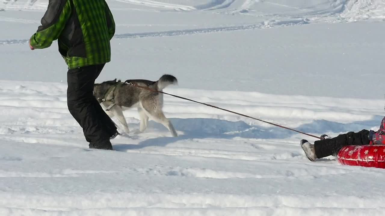 Stock Video Father And Son Playing In The Snow Live Wallpaper For PC
