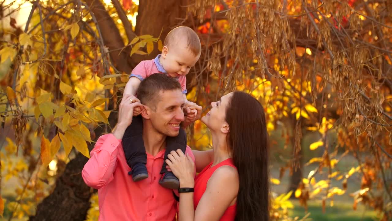Stock Video Father And Mother With Their Baby In Autumn Nature Live Wallpaper For PC