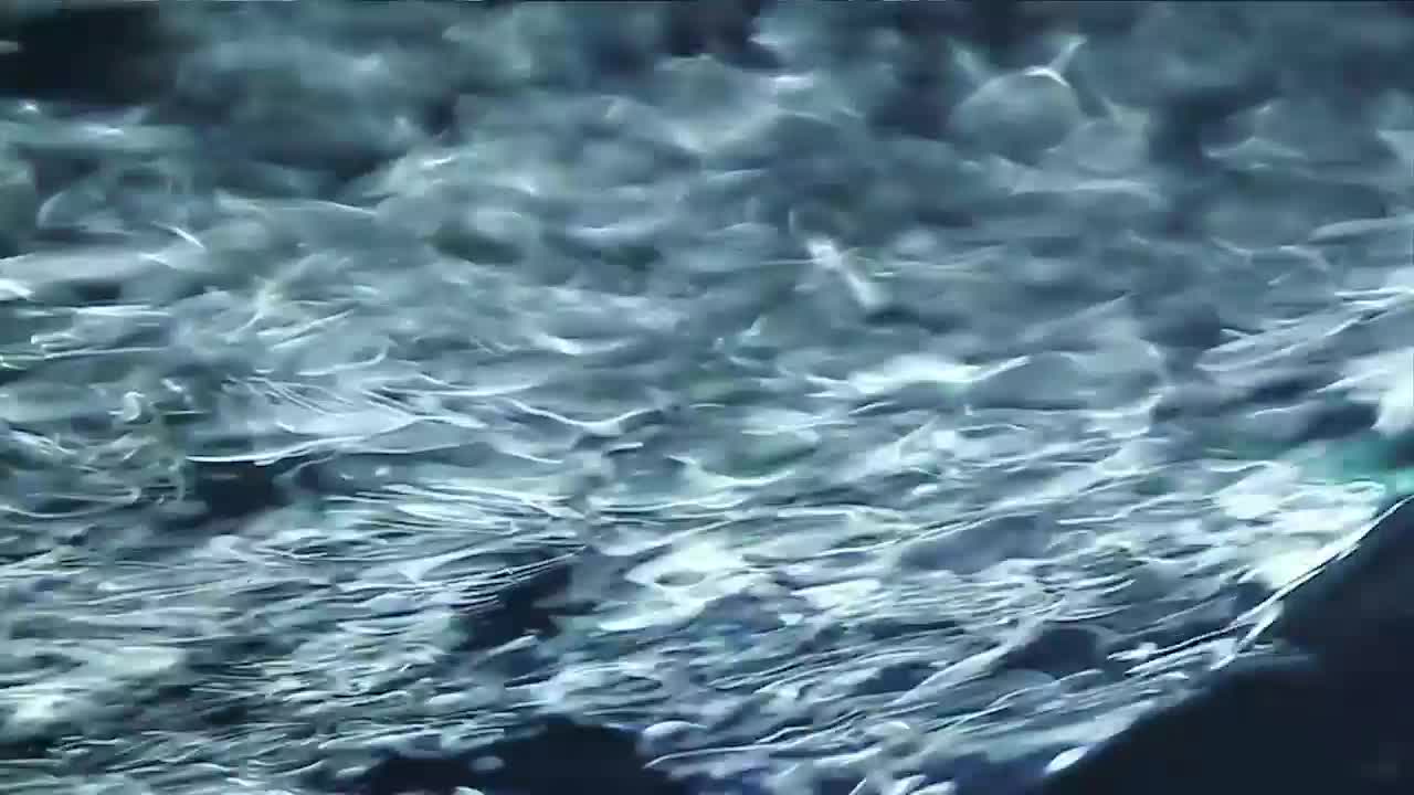 Stock Video Fast Moving Liquid From Below Live Wallpaper For PC