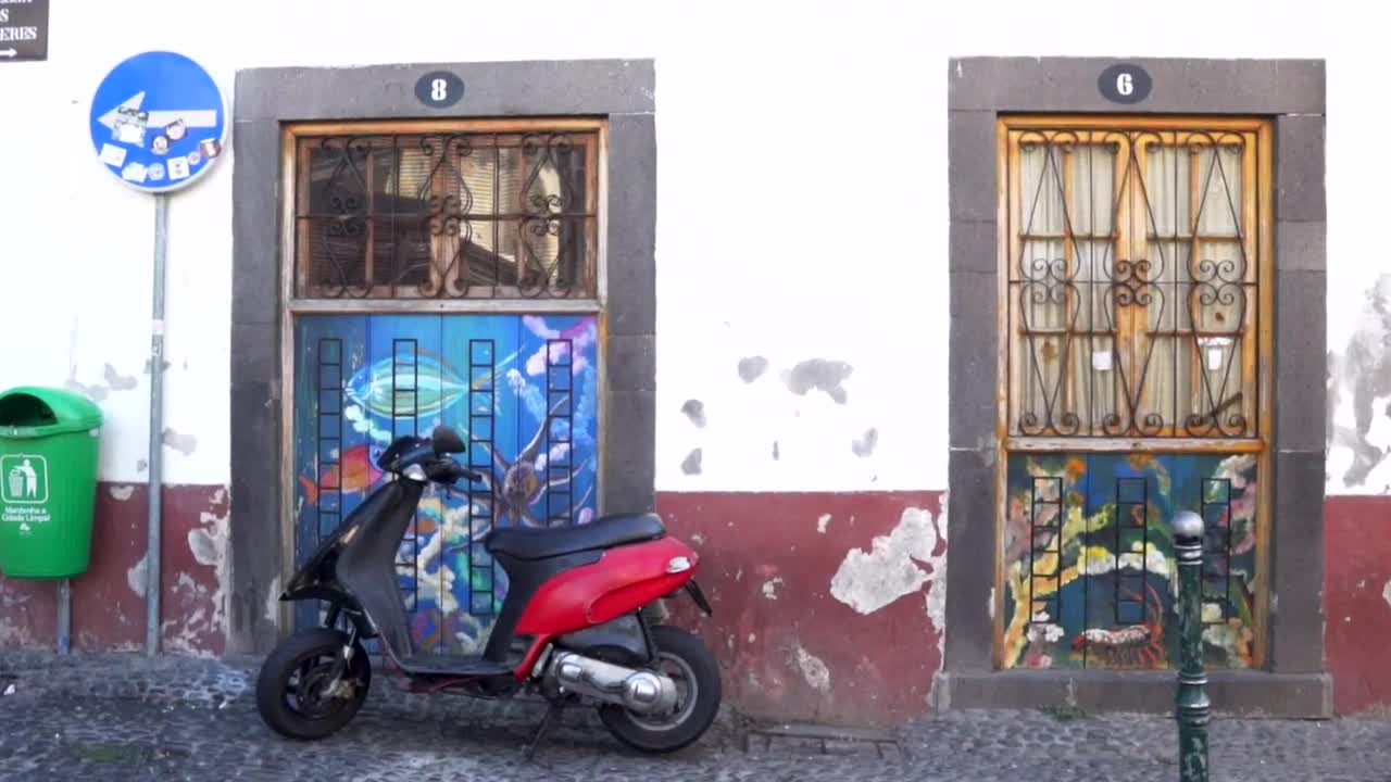 Stock Video Fashionable Womens Art On The Street Live Wallpaper For PC