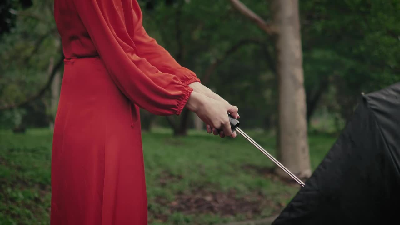 Stock Video Fashion Woman Dressed In Red Live Wallpaper For PC