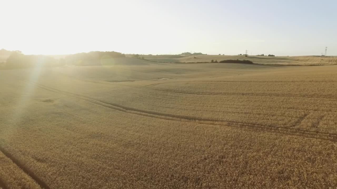 Stock Video Farmland Ready For Harvesting Live Wallpaper For PC