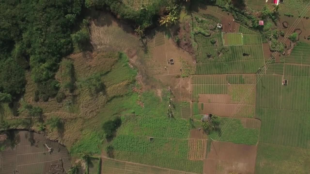 Stock Video Farmlands And Tiny Houses Live Wallpaper For PC