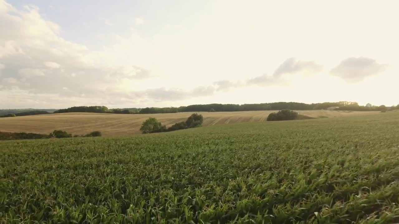 Stock Video Farmland During The Summer Months Live Wallpaper For PC