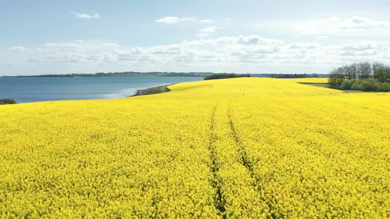 Stock Video Farmland By The Ocean Live Wallpaper For PC