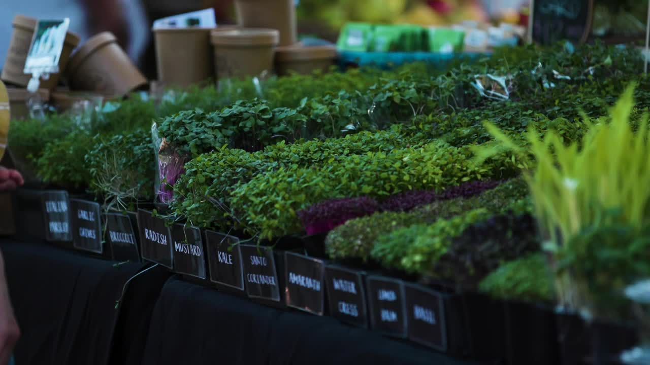 Stock Video Farmers Market Display Of Fresh Herbs Live Wallpaper For PC