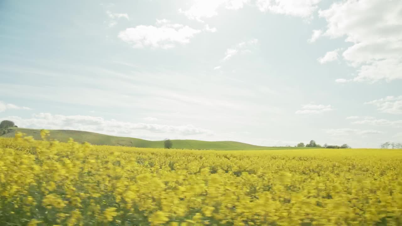Stock Video Farmers Field In The Summer Live Wallpaper For PC