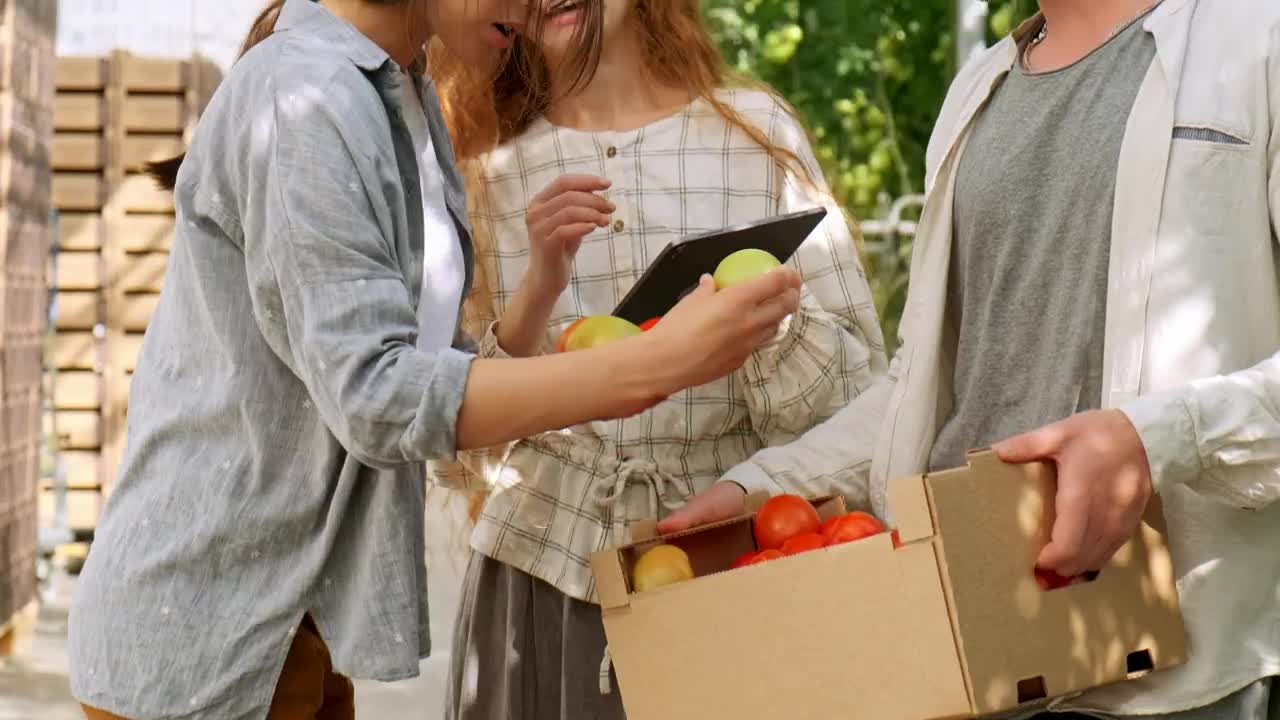 Stock Video Farmers Discussing About Vegetables Quality Live Wallpaper For PC