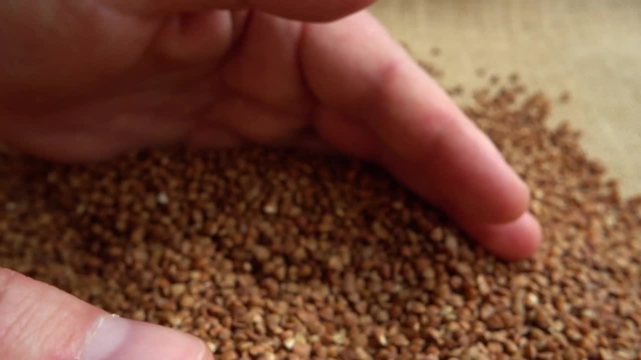 Stock Video Farmer Gathering Up A Crop Sample Live Wallpaper For PC