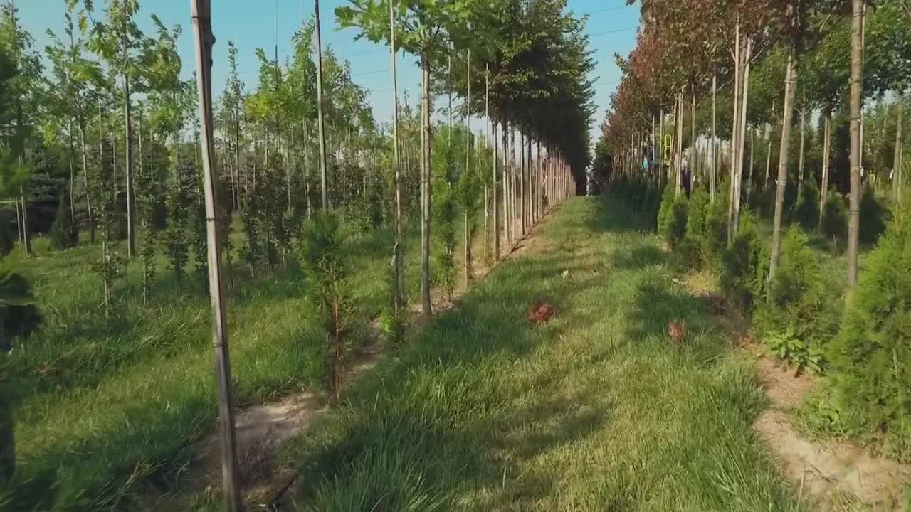 Stock Video Farm Workers In A Field Of Trees Live Wallpaper For PC