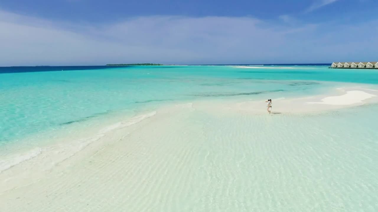 Stock Video Family Walking On A Beautiful Beach Live Wallpaper For PC